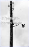 1950 - Holzmast mit Ausleger